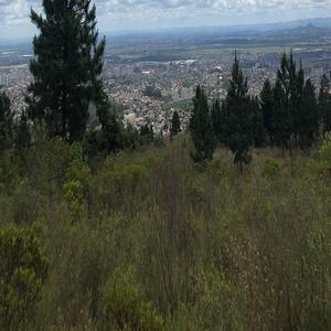 女帝被c呻吟双腿大开H视频
